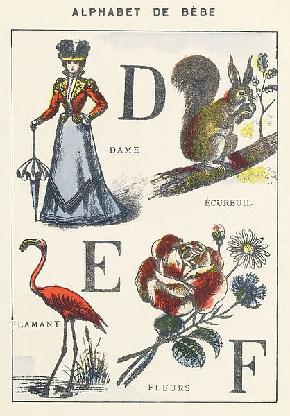 D E F: lady, squirrel, flamingo, flowers