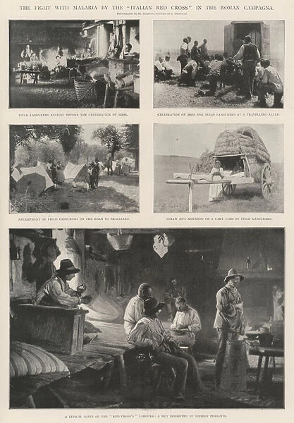 The Fight with Malaria by the 'Italian Red Cross'in the Roman Campagna (b  /  w photo)