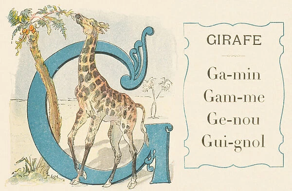 G: Giraffe, Kid, Range, Knee, Guignol