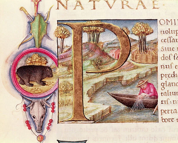 Historiated initial P depicting a fisherman, from the Naturalis Historia by Pliny the Elder (vellum)