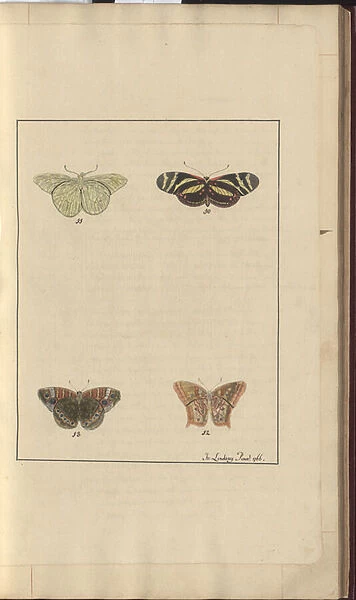 Lindsay Drawings Vol. VI, 36, 1750-79 (w  /  c on paper)
