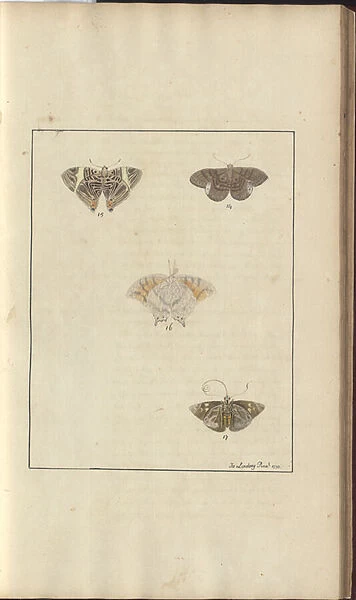 Lindsay Drawings Vol. VI, 42, 1750-79 (w  /  c on paper)