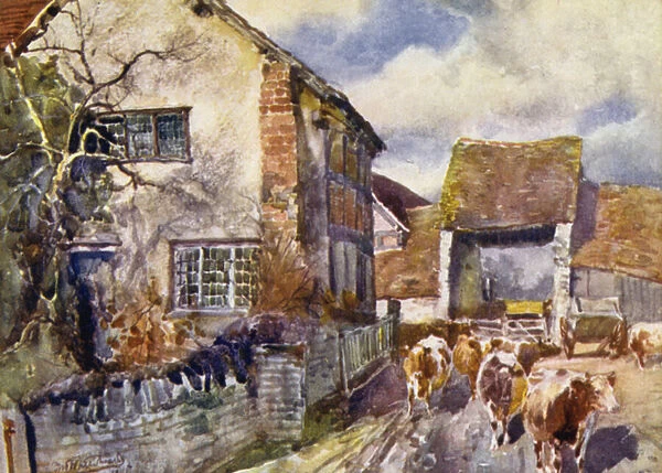 Mary Ardens Cottage, Wilmcote (colour litho)