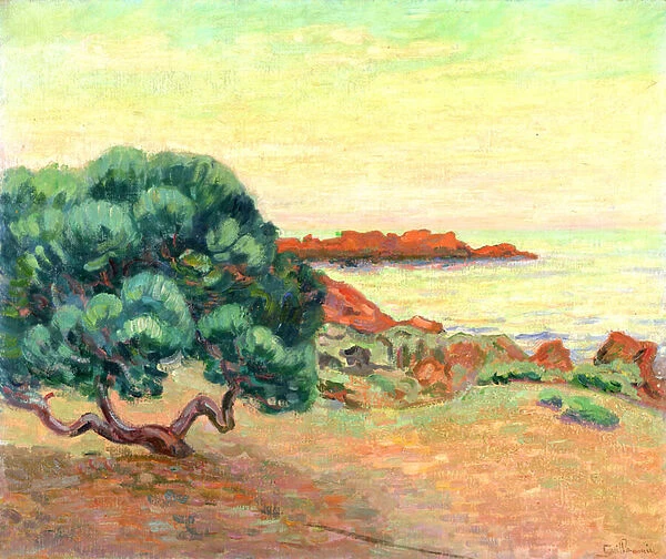 Midi Landscape, 1898 (oil on canvas)