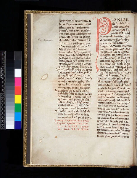 Ms 150. Pseudo-Haimo of Halber-Stadt, Expositio in Apocalipsin, f. 1v. Initial [P] in red with reserved and scrolling foliate decoration, 12th Century (parchment)