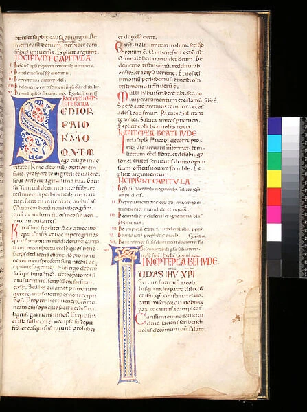 Ms 6. 3. Bible, f. 29r. Decorated Initial [S] with white vine-stem decoration introducing 3 John Epistle, 12th Century (parchment)