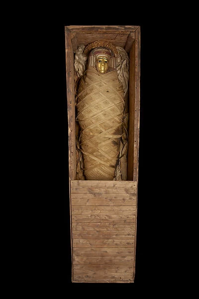 Mummy in coffin, from Hawara (mixed media)