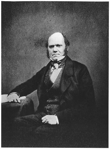 Portrait of Charles Darwin (1809-82) (b  /  w photo)