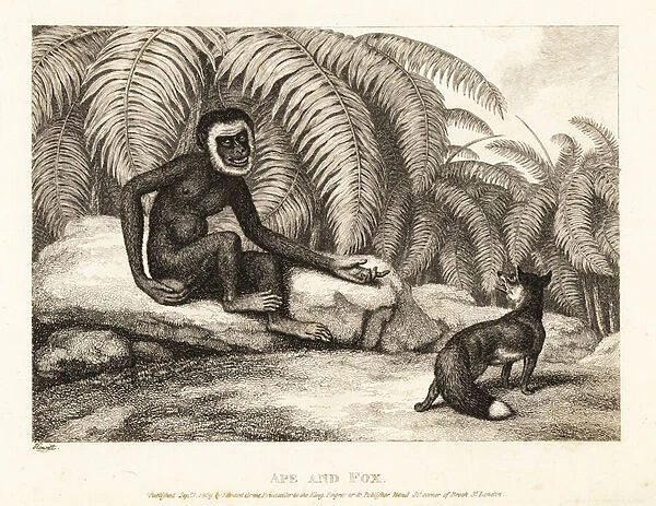 A tailless monkey asks a fox for some of his tail. Ape and fox. 1811 (etching)
