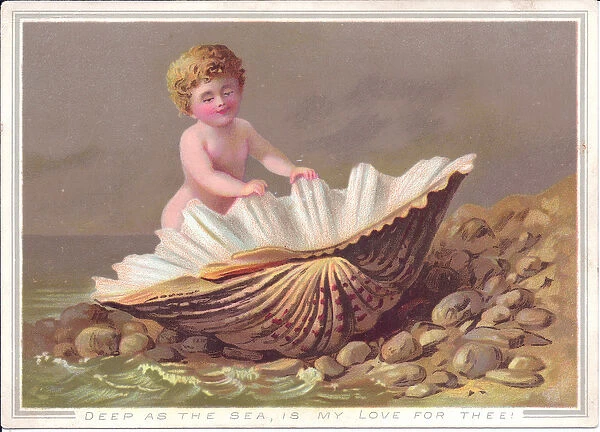 A Victorian valentine of a naked boy gazing into a clam shell that is laying on the beach