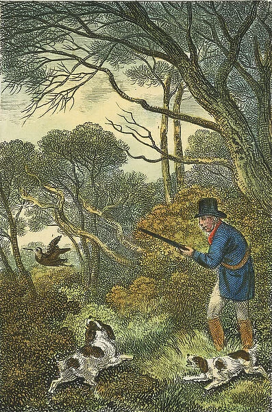 Woodcock Shooting, 1819 (hand-coloured engraving)