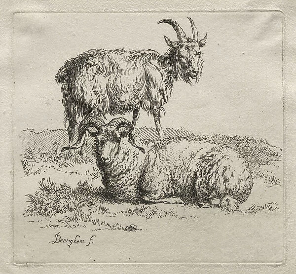 Ram Goat Nicolaes Berchem Dutch 1620-1683 Etching