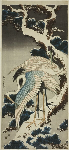 Cranes on snow-covered pine, Japan, c. 1834. Creator: Hokusai