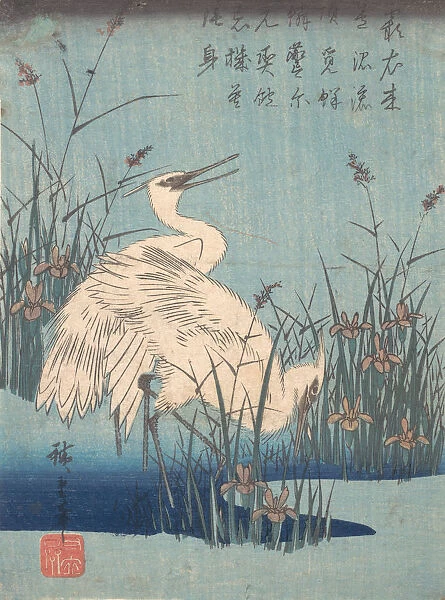 Egret in Iris and Grasses, ca. 1837. ca. 1837. Creator: Ando Hiroshige