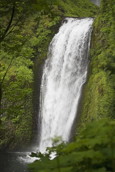 Lower Section Of Multnomah Falls; Oregon, United States of America