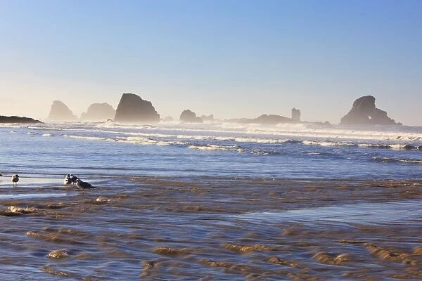 Tide At Indian Beach; Oregon, United States Of America