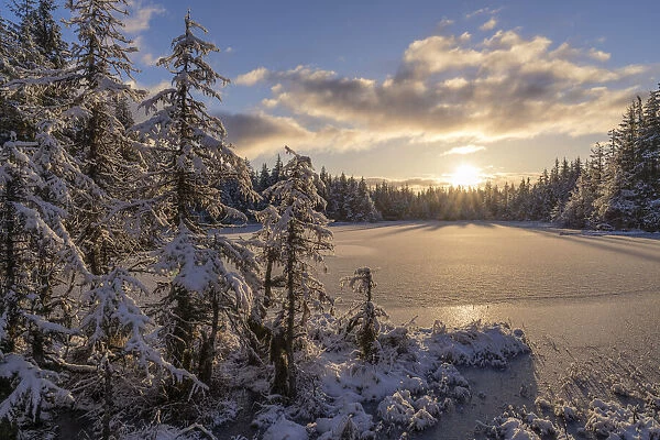 Tongass National Forest in winter, Alaska, USA