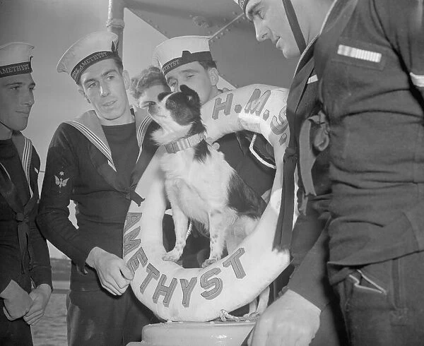 Royal Navy Sailors HMS Amethyst December 1952 Joe the mongrel dog who was left