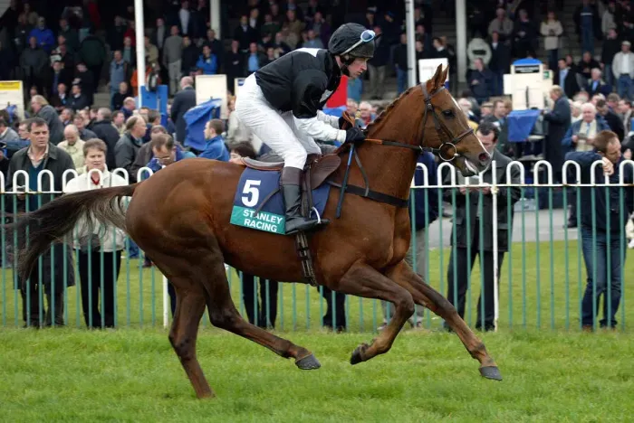 Framed Print : Ilton Ridden By A.Ross Wetherby Races Wetherby Racecoarse Framed Print : Ilton Ridden By A.Ross Wetherby Races Wetherby Racecoarse