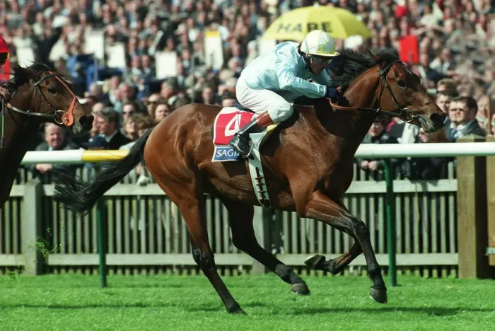 Framed Print : Golan Ridden By K.Fallon Wins The 2000 Guineas Newmarket Framed Print : Golan Ridden By K.Fallon Wins The 2000 Guineas Newmarket