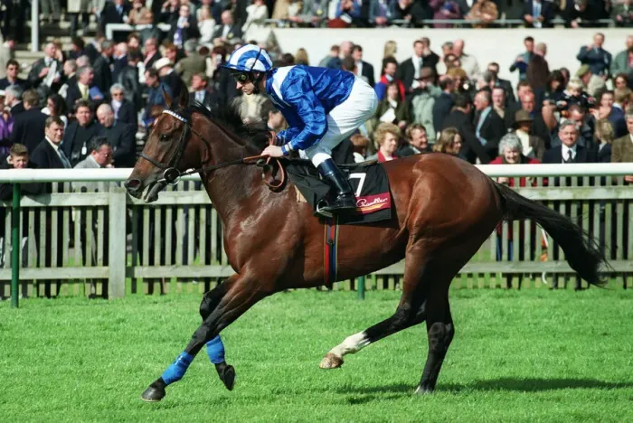Framed Print : Fath Ridden By R.Hills Newmarket Guineas Festival Newmarket Framed Print : Fath Ridden By R.Hills Newmarket Guineas Festival Newmarket