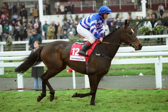 Framed Print : Scone Ridden By T.Quinn Doncaster Lincoln Festival Doncaster