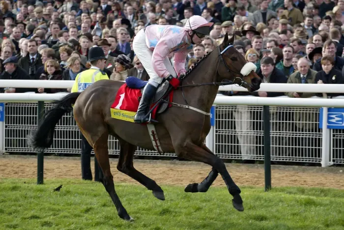Framed Print : Ansar Ridden By P.Carberry Cheltenham Festival Cheltenham Racecourse