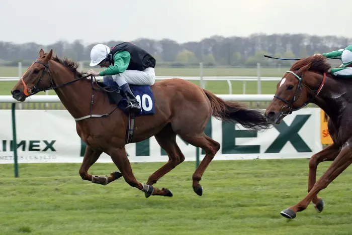 Framed Print : Thihn Ridden By A.Daly Newmarket Craven Meeting Newmarket Racecourse Framed Print : Thihn Ridden By A.Daly Newmarket Craven Meeting Newmarket Racecourse