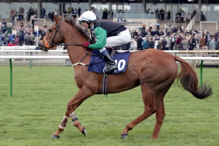 Framed Print : Thihn Ridden By A.Daly Newmarket Craven Meeting Newmarket Racecourse Framed Print : Thihn Ridden By A.Daly Newmarket Craven Meeting Newmarket Racecourse