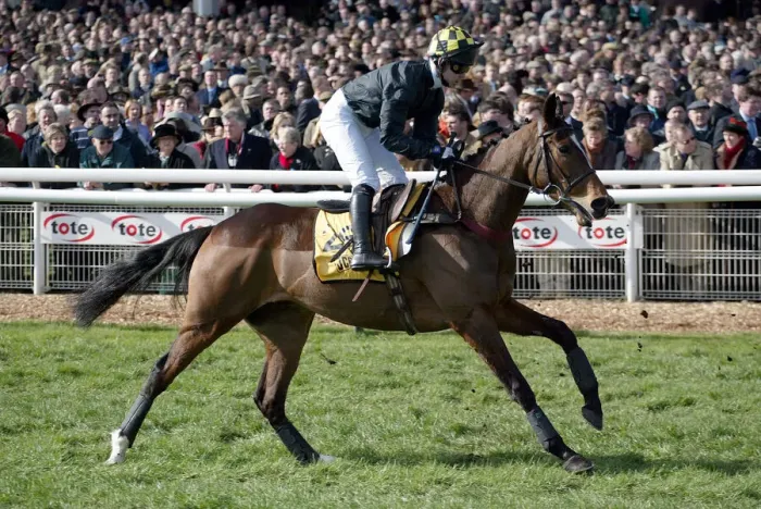 Framed Print : Turbo Ridden By G.Lee Cheltenham Festival 2003 Cheltenham Racecourse