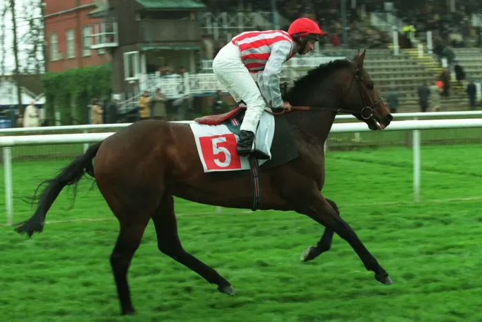 Framed Print : Gorse Ridden By T.Quinn 15 April 1999 Date: 15 April 1999 Framed Print : Gorse Ridden By T.Quinn 15 April 1999 Date: 15 April 1999