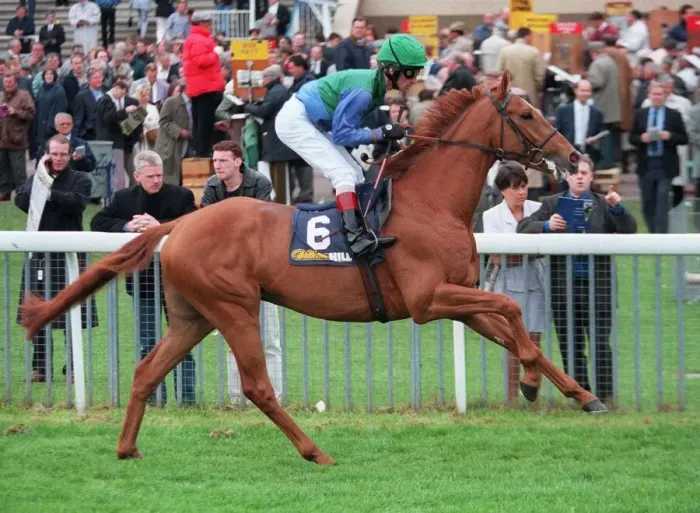 Framed Print : Iamus Racehorse 17 May 1996 Date: 17 May 1996 Framed Print : Iamus Racehorse 17 May 1996 Date: 17 May 1996