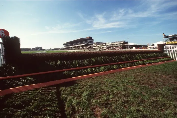Framed Print : 6 Fence Cheltenham