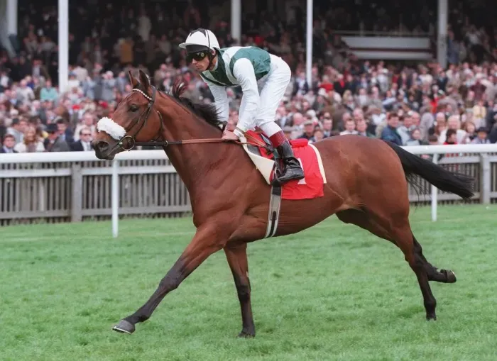 Framed Print : Abou Zouz Ridden By Lanfranco Dettori 12 May 1996 Date: 12 May 1996