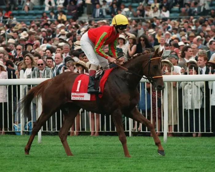 Framed Print : Acharne Ridden By Warren O`Conner 12 June 1996 Date: 12 June 1996