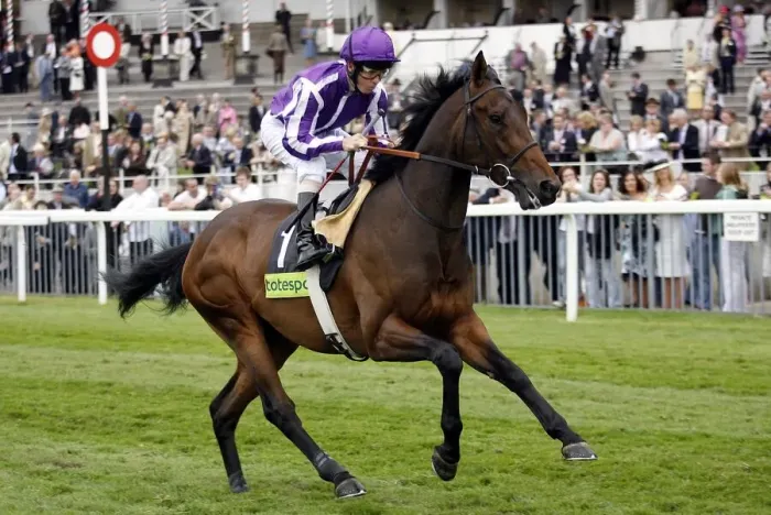 Framed Print : Adagio Ridden By Kerrin Mcevoy The May Festival York The Knavesmire Framed Print : Adagio Ridden By Kerrin Mcevoy The May Festival York The Knavesmire