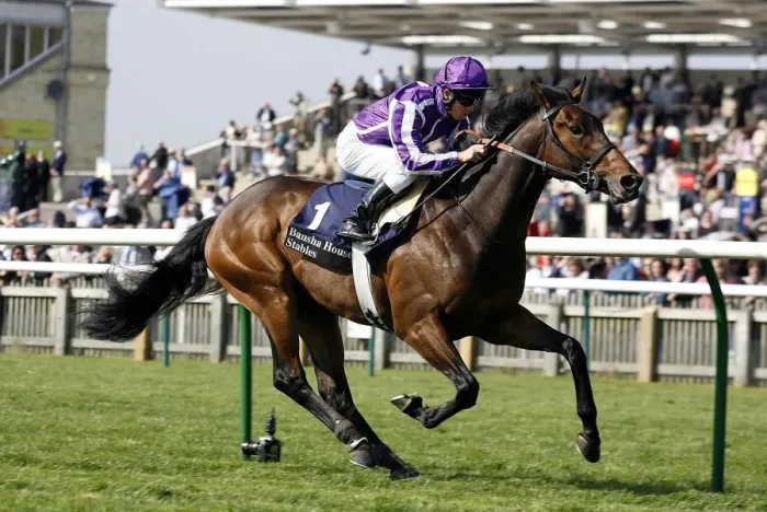 Framed Print : Adagio Ridden By Kerrin Mcevoy Wins