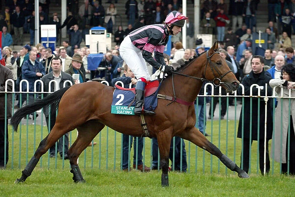 Adecco Ridden By B.J.Crowley Wetherby Races Wetherby Racecoarse