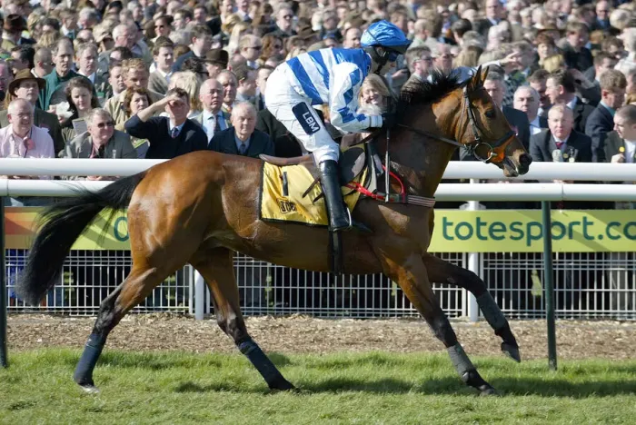 Framed Print : Admiral Ridden By H.Oliver Cheltenham Festival 2005 Cheltenham Racecourse Framed Print : Admiral Ridden By H.Oliver Cheltenham Festival 2005 Cheltenham Racecourse
