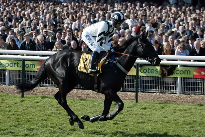 Framed Print : Akilak Ridden By G.Lee Cheltenham Festival 2005 Cheltenham Racecourse Framed Print : Akilak Ridden By G.Lee Cheltenham Festival 2005 Cheltenham Racecourse