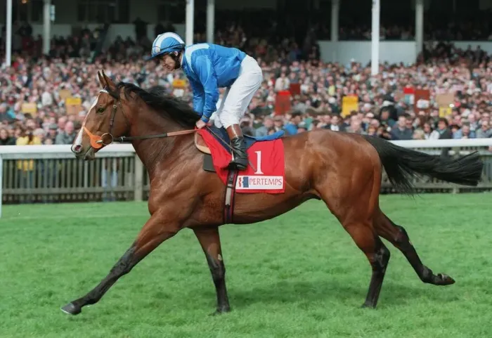Framed Print : Alhaarth Ridden By Willie Carson 06 May 1996 Date: 06 May 1996 Framed Print : Alhaarth Ridden By Willie Carson 06 May 1996 Date: 06 May 1996