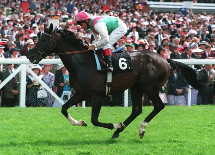Framed Print : Allegan (Pat Eddery) Framed Print : Allegan (Pat Eddery)