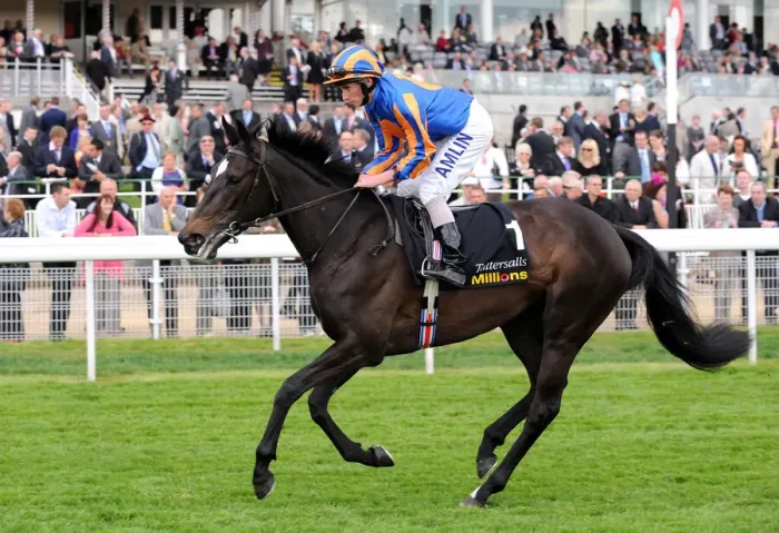 Framed Print : Amazing Beauty Ridden By Ryan Moore Framed Print : Amazing Beauty Ridden By Ryan Moore