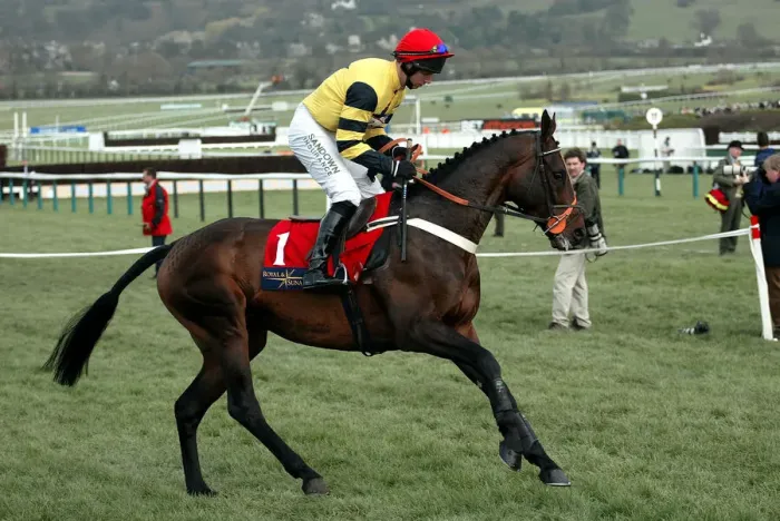 Framed Print : Ammonias Ridden By N.Fehily Cheltenham Festival 2004 Cheltenham Racecourse Framed Print : Ammonias Ridden By N.Fehily Cheltenham Festival 2004 Cheltenham Racecourse