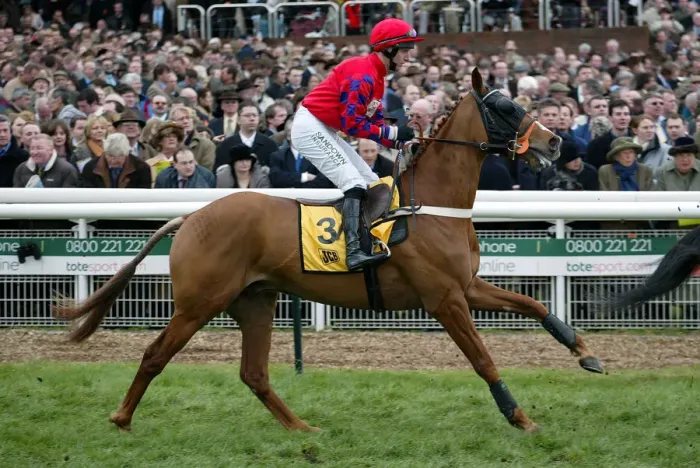 Framed Print : Analogy Ridden By N.Fehily Cheltenham Festival 2004 Cheltenham Racecourse