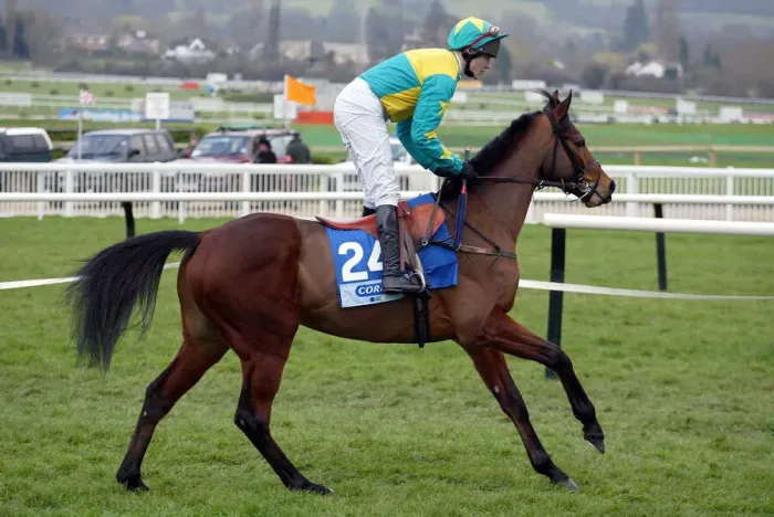 Framed Print : Anatar Ridden By T.Scudamore Cheltenham Festival 2003 Cheltenham Racecourse