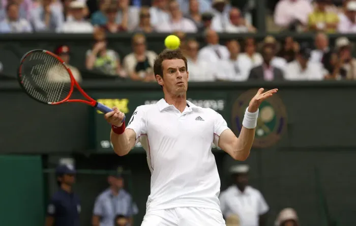 Framed Print : Andy Murray Framed Print : Andy Murray
