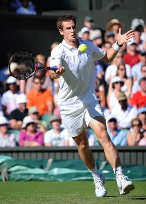 Framed Print : Andy Murray Framed Print : Andy Murray