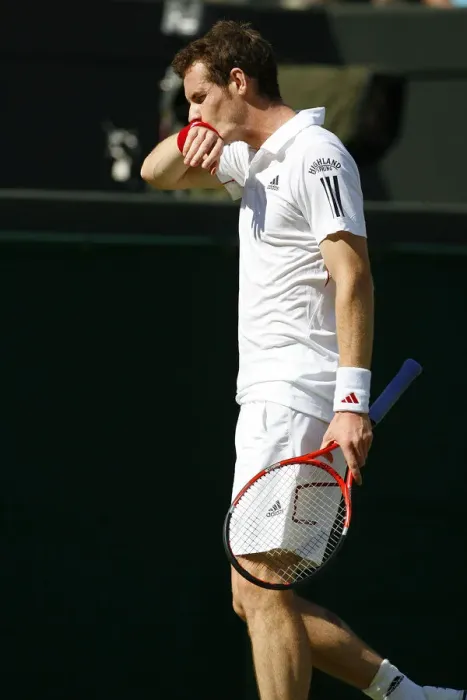 Framed Print : Andy Murray Framed Print : Andy Murray