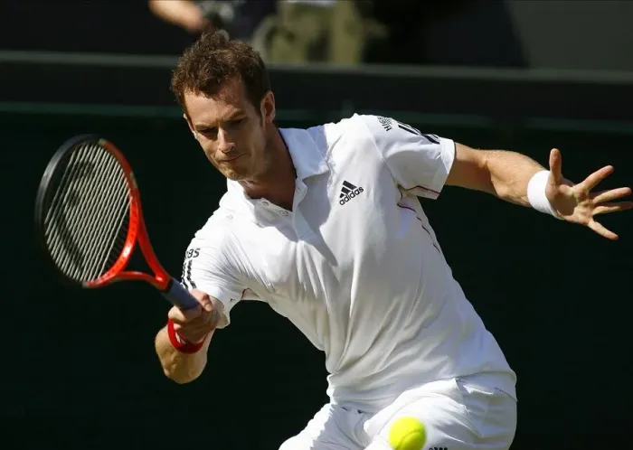 Framed Print : Andy Murray Framed Print : Andy Murray